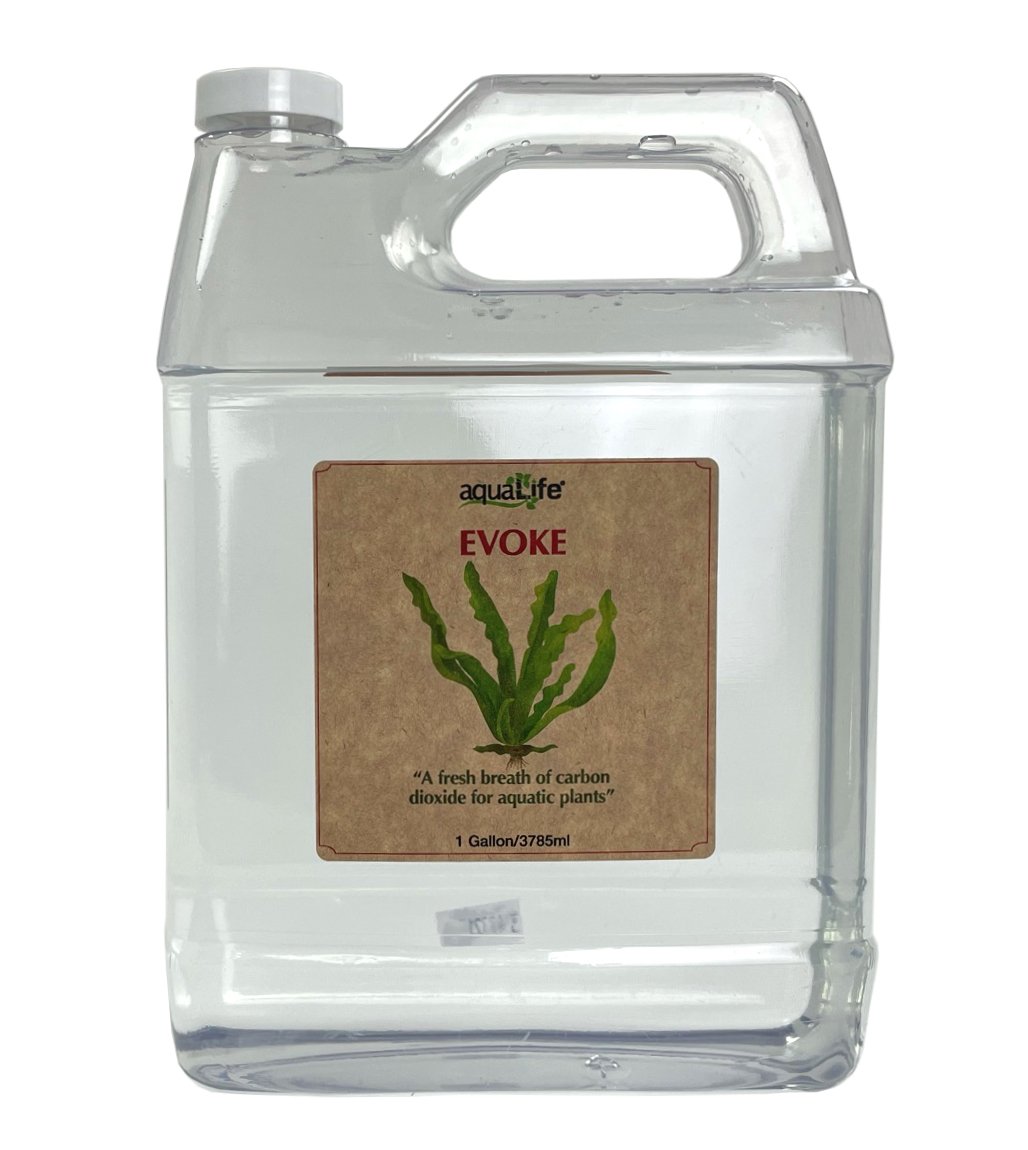 Evoke 1 Gallon 3785 ml