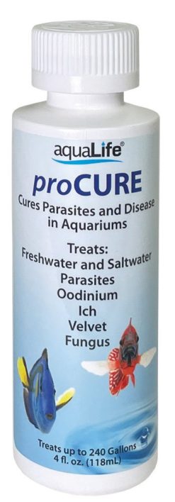 proCure 4 oz - Treats 240 Gallons for parasites and fungus