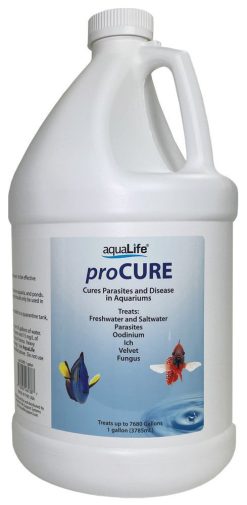 proCure 1 Gallon - Treats 7680  Gallons for parasites and fungus