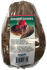 Almond Leaves 50 pack