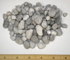 BioMatrix Medium 600 ML Bio Media