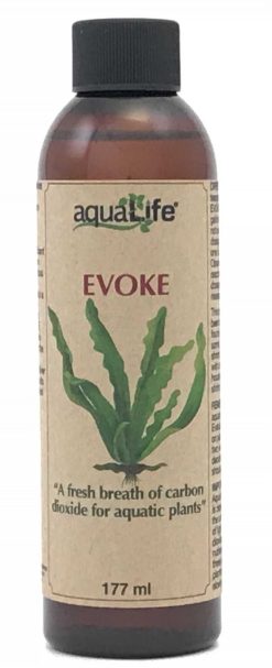 Evoke 177 ml