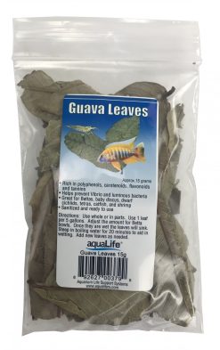 AquaLife Guava Leaves Approx. wt. 15 grams