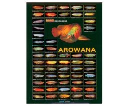 Arowana Poster