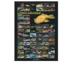 Pleco Poster