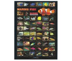 Marine Fish Poster