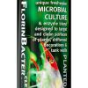 FlorinBacter Clean 250ml Shrimp in all Planted Aquaria