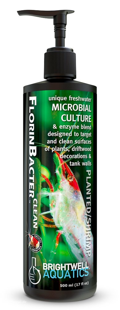 FlorinBacter Clean 250ml Shrimp in all Planted Aquaria