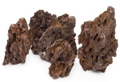 Exotica Dragon Stone 25lb Box