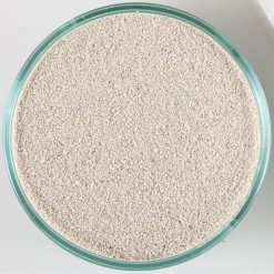 Arag-Alive Bahamas Oolite 20lb Live Sand