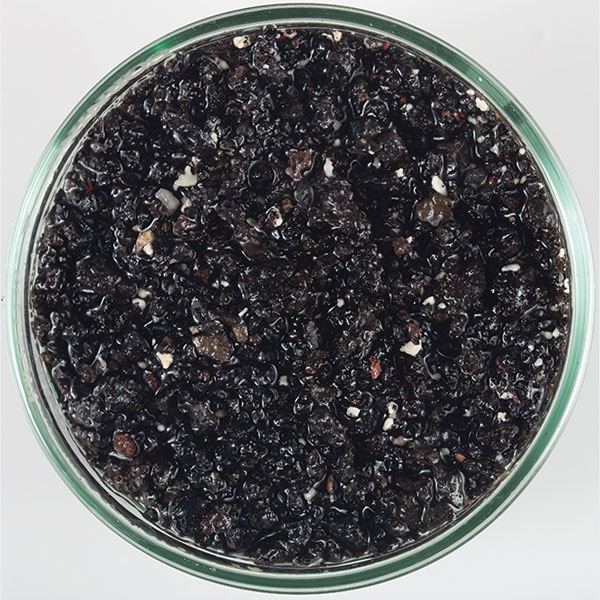 Arag-Alive Hawaiian Black 20lb Live Sand