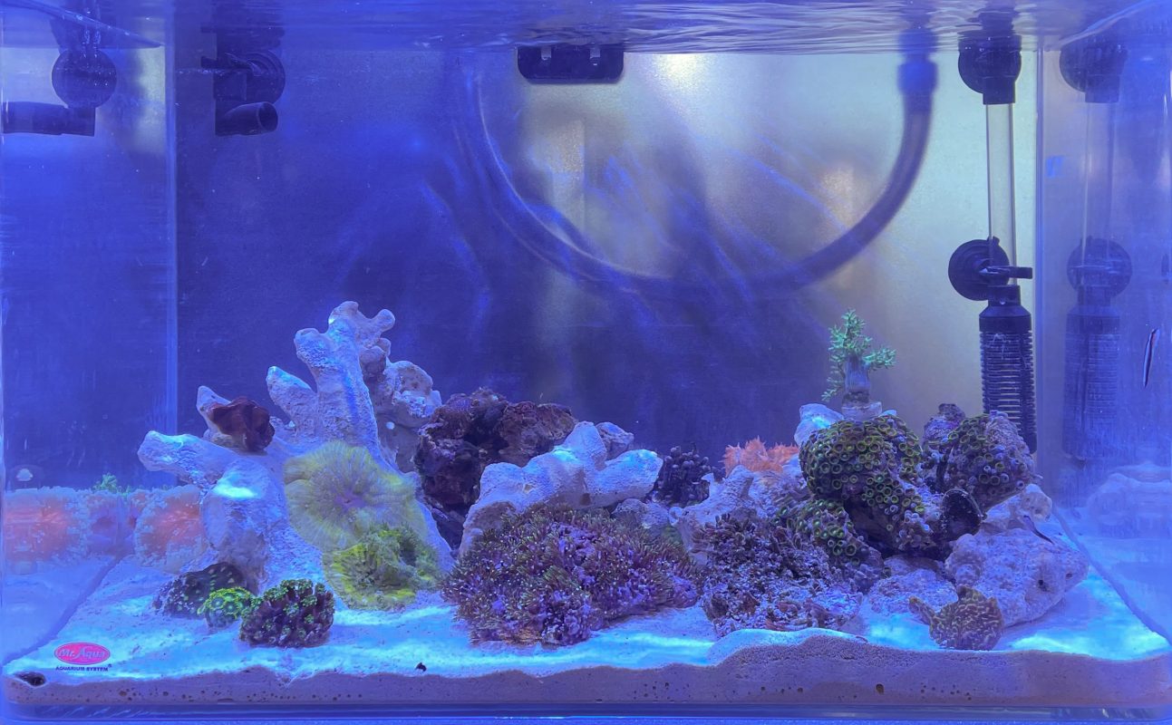 Aquarium Mat for Serene - 36 x 8.63 x 0.25 - Sevenports Nano Aquariums