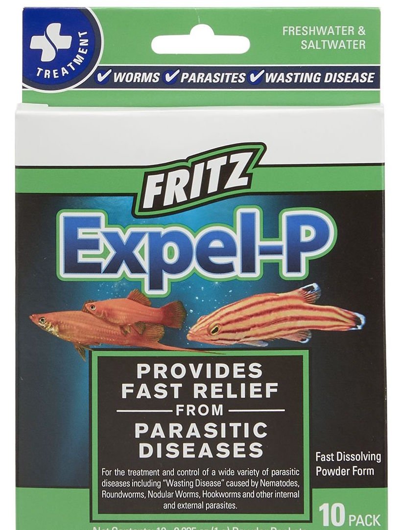 Expel-P 10 Ct