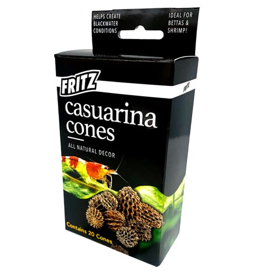Casuarina Cones 20 pk