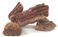 Samurai Stone - 25 lbs.