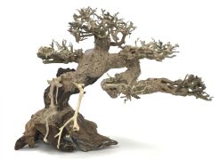 Bonsai Wood - Approx. 9" x 5" x 7"
