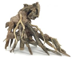 Octopus Wood - Approx. 6" x 4" x 8"
