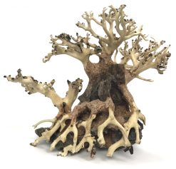 Bonsai Wood with Rock - Approx. 8" x 7" x 4.5"