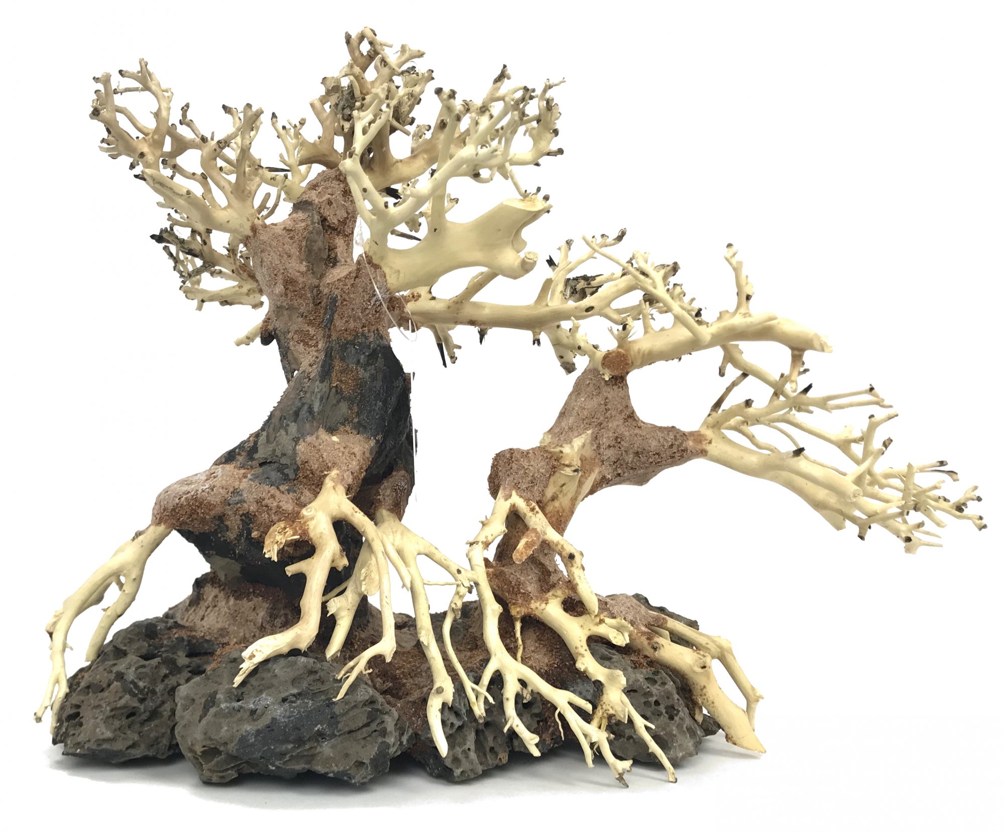 Bonsai Wood with Rock - Approx. 13" x 6" x 10"