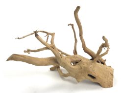 Spider Wood 12-16"
