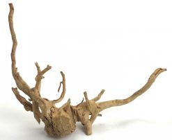 Spider Wood 15-20"