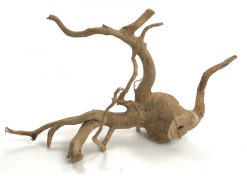 Spider Wood 19-24"