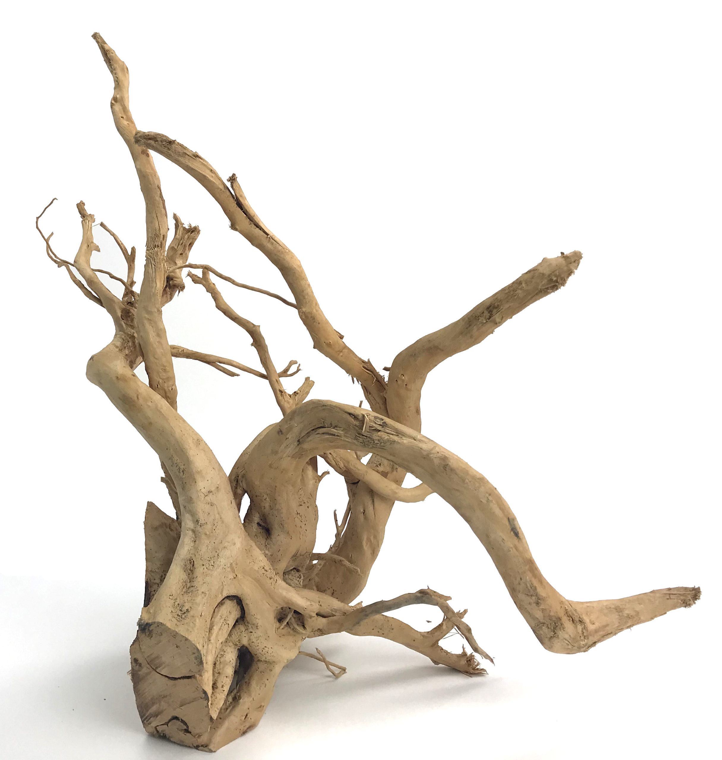 Spider Wood 23-32" - Special