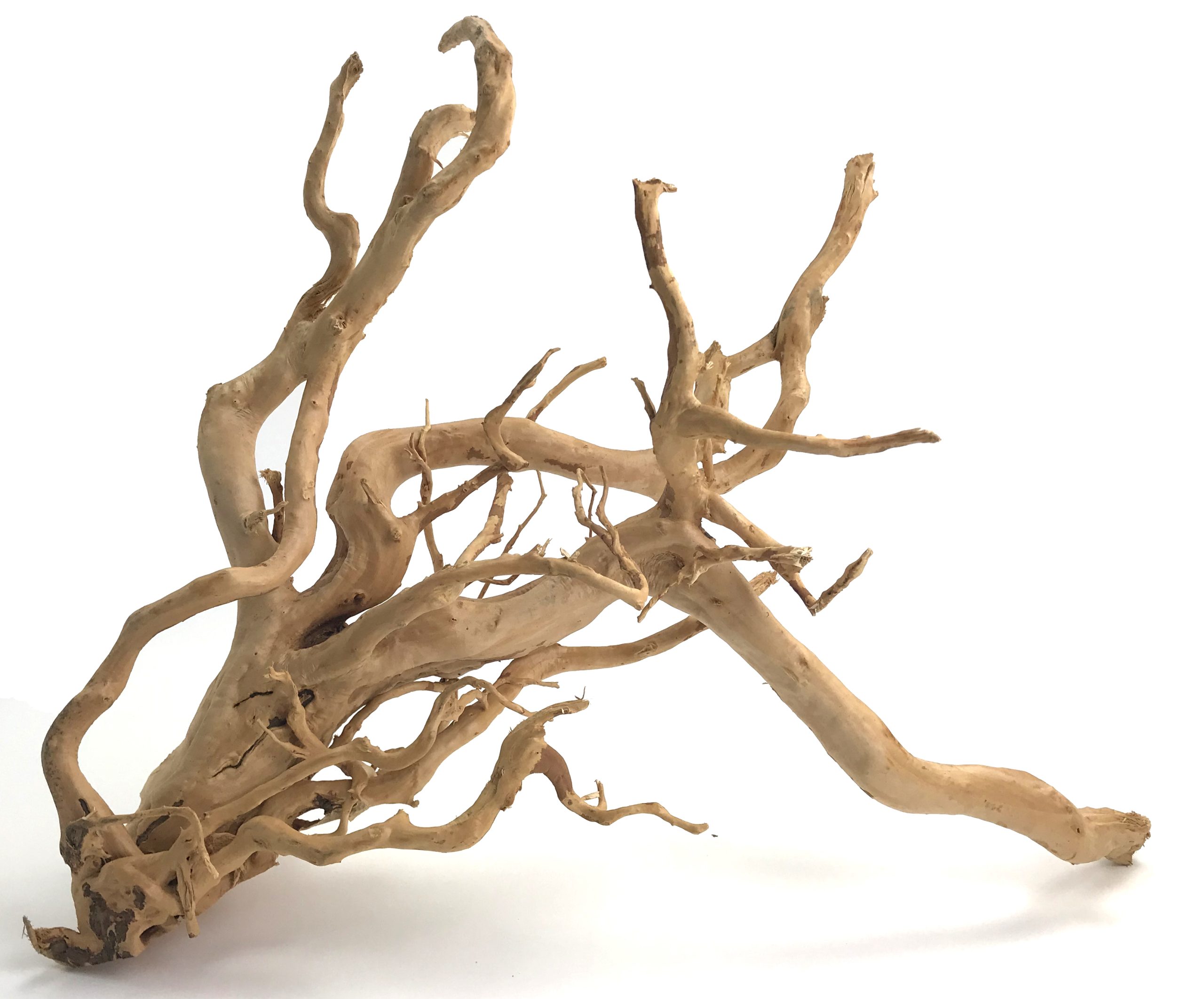 Spider Wood 23-32" - SHOW