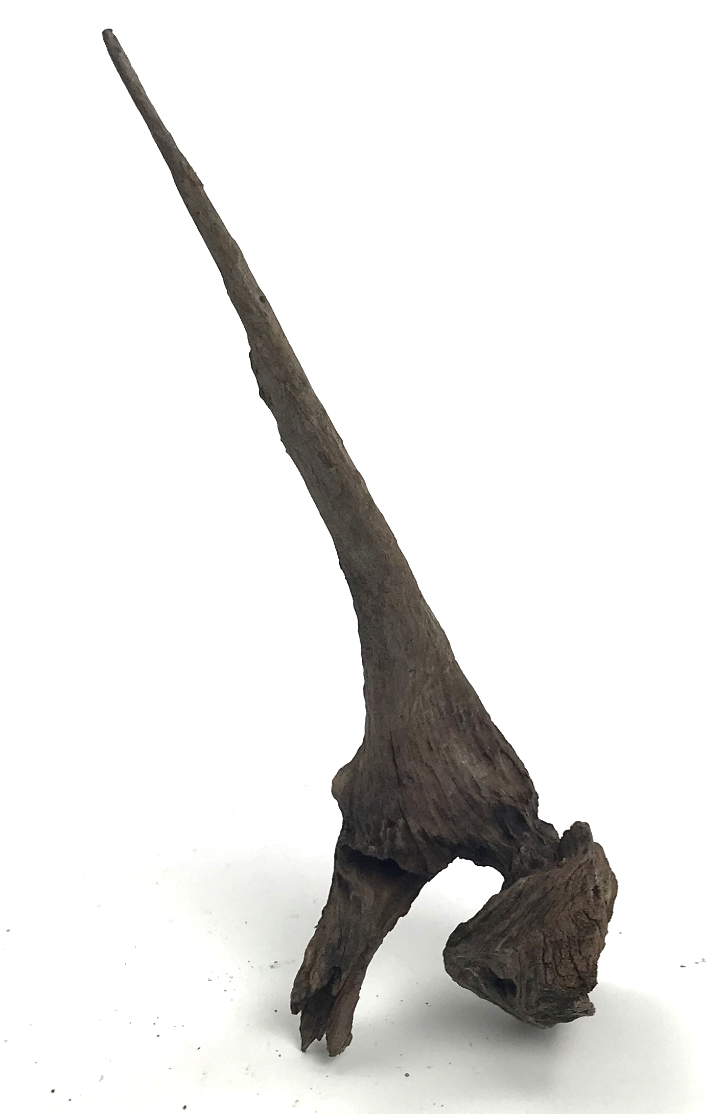 Black Forest Driftwood 4-8"