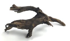 Black Forest Driftwood 7-12"