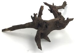 Black Forest Driftwood 11-13"