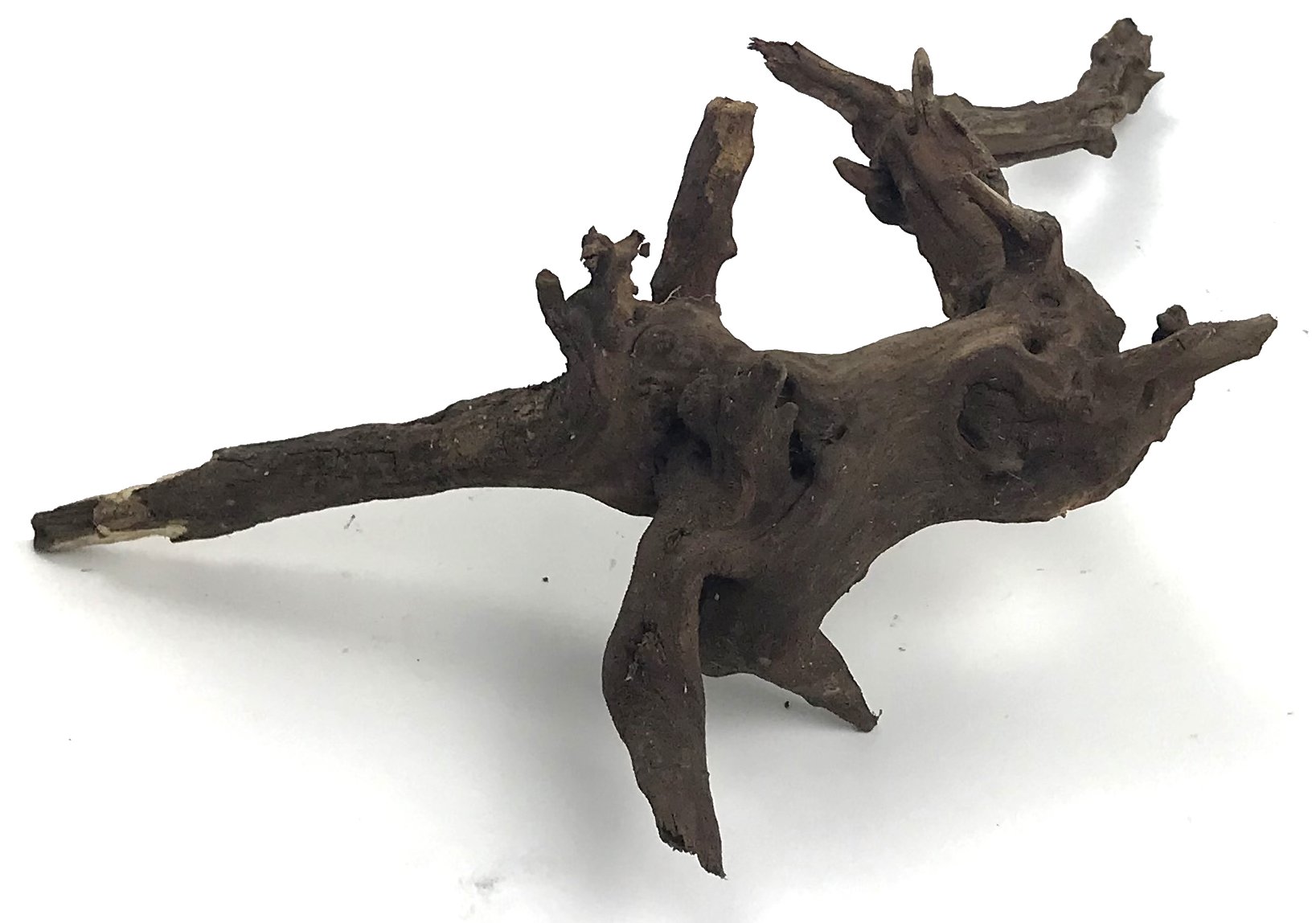 Black Forest Driftwood 11-13"