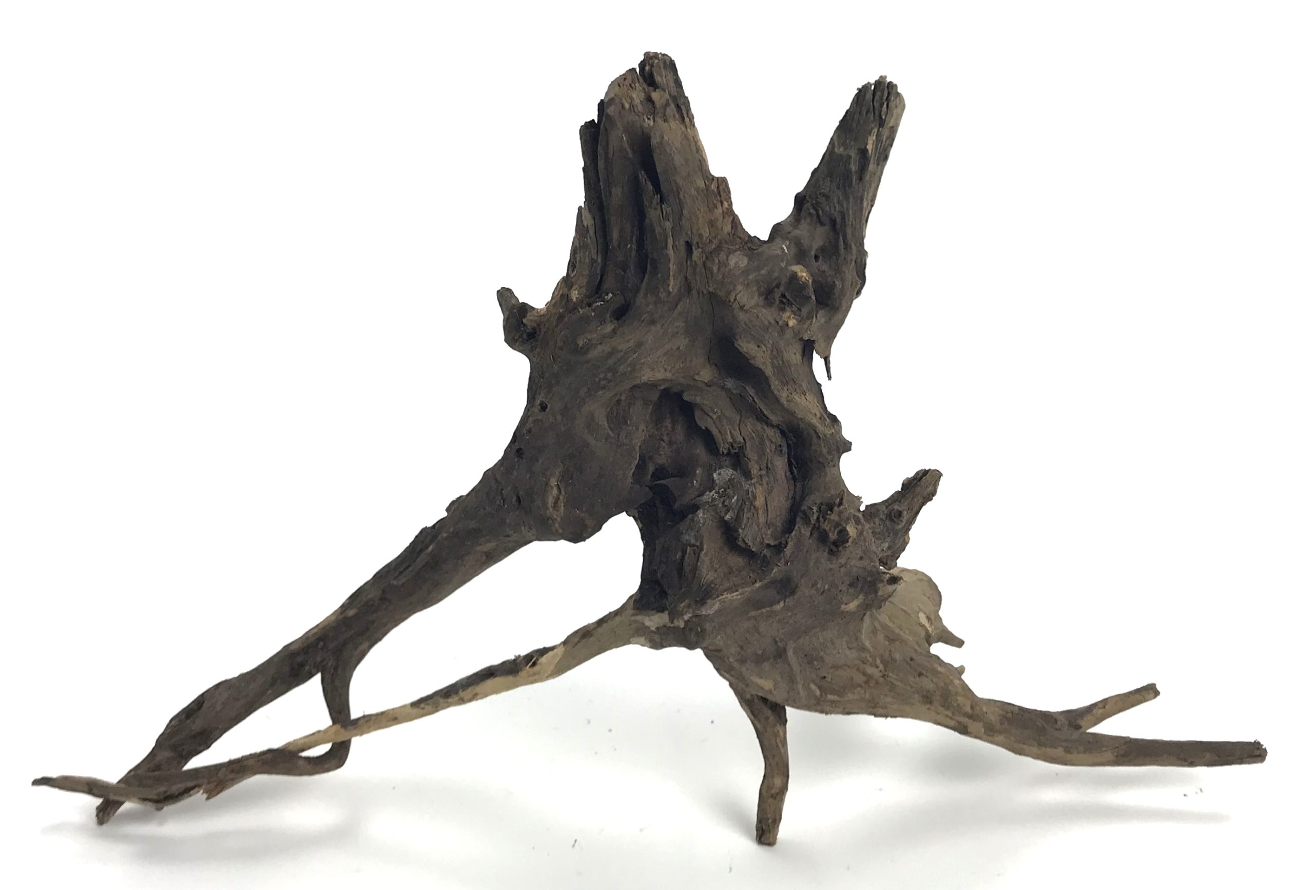 Black Forest Driftwood 13-16"
