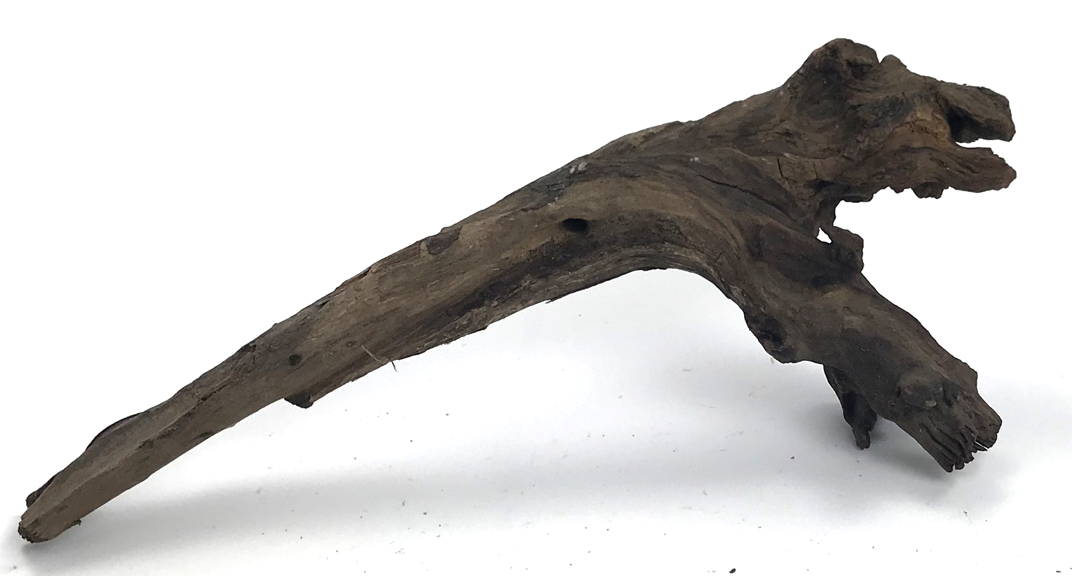 Black Forest Driftwood 16-23"