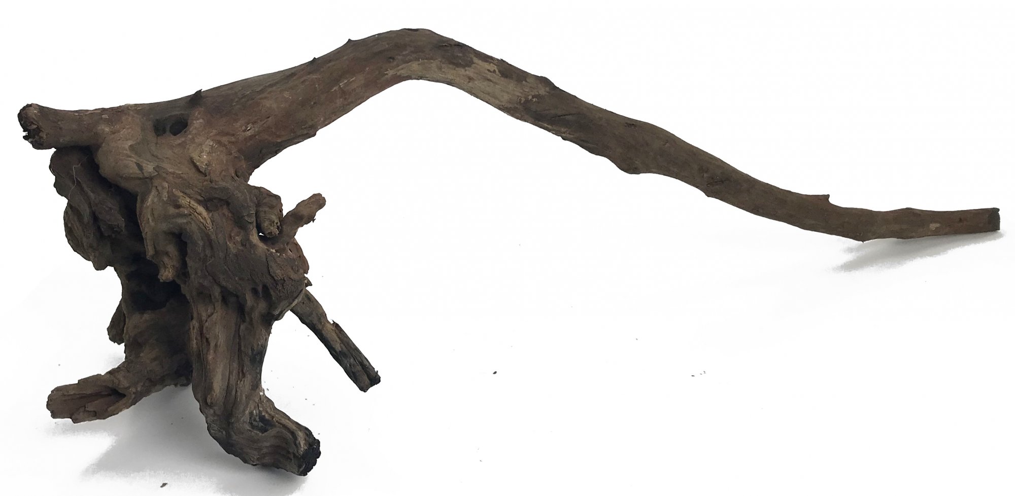 Black Forest Driftwood 16-23"