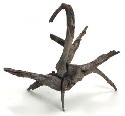 Black Forest Driftwood 23-32"