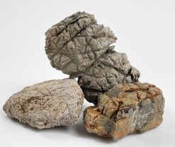 Elephant Skin Stone - 25 lbs