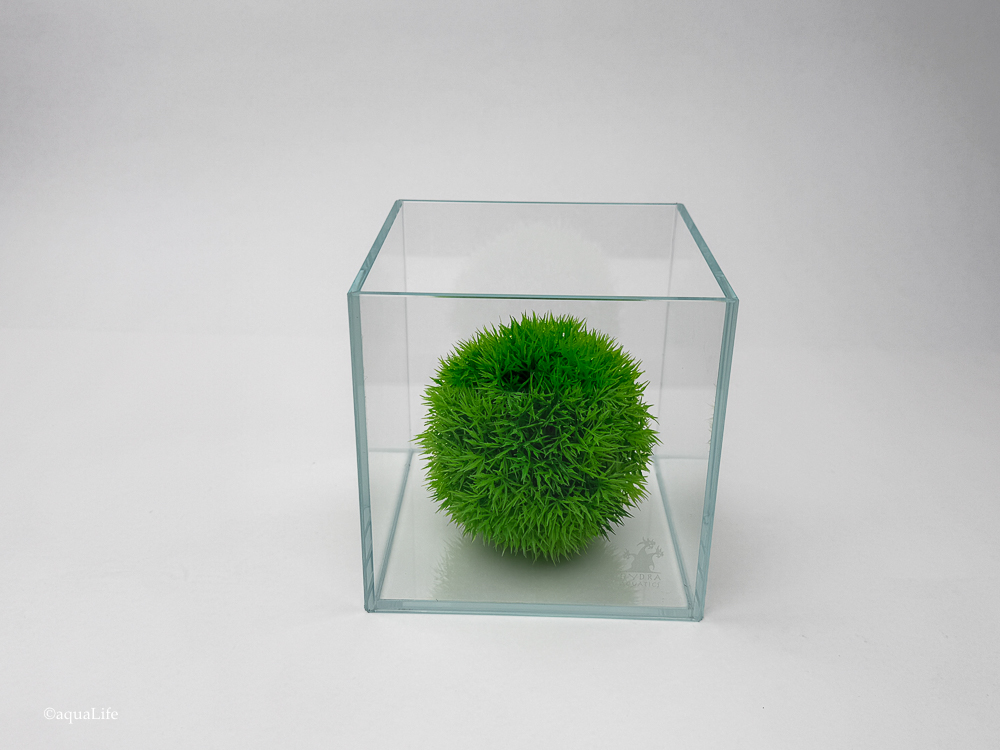 Bono Wabi-kusa 1 Gal Ultra Clear 45 Degree LI Aquarium 16x16x16 cm - 6.3 x 6.3 x 6.3"
