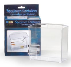Small Specimen Container