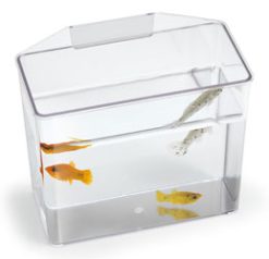 Small Break Resistant Specimen Container, Unpackaged
