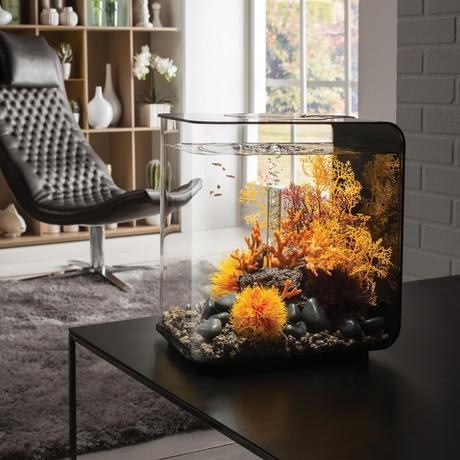 biOrb Sea Fan Small Orange