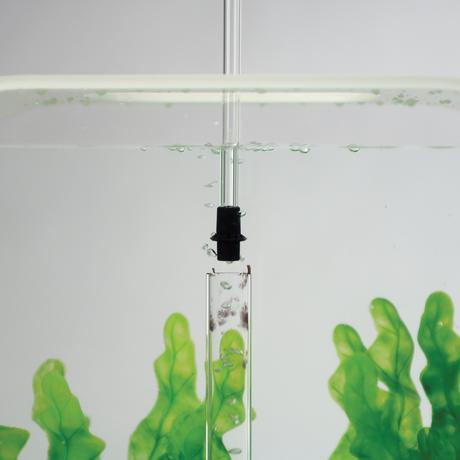 biOrb Bubble Tube Cleaner *