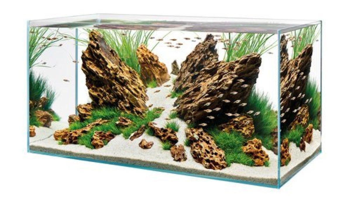 ScaperLine 90 48 Gal Aquarium 35 x 17.7 x 17.7 (90 x 45 x 45)