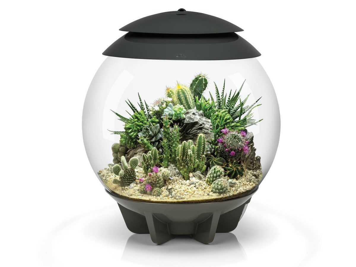 biOrb AIR 60 LED Terrarium White - Sevenports Nano Aquariums