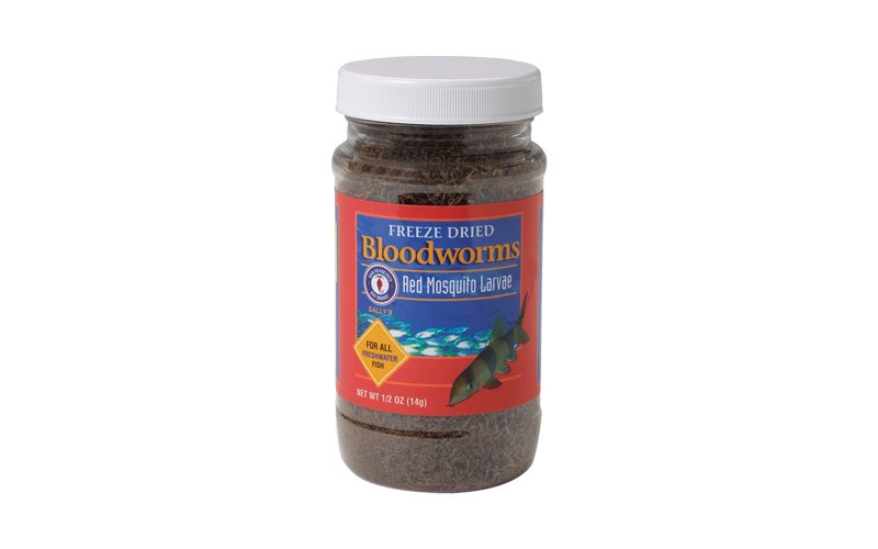 Bloodworms Freeze Dried .5oz