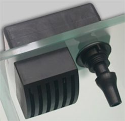 Xaqua INOUT Overflow and Return