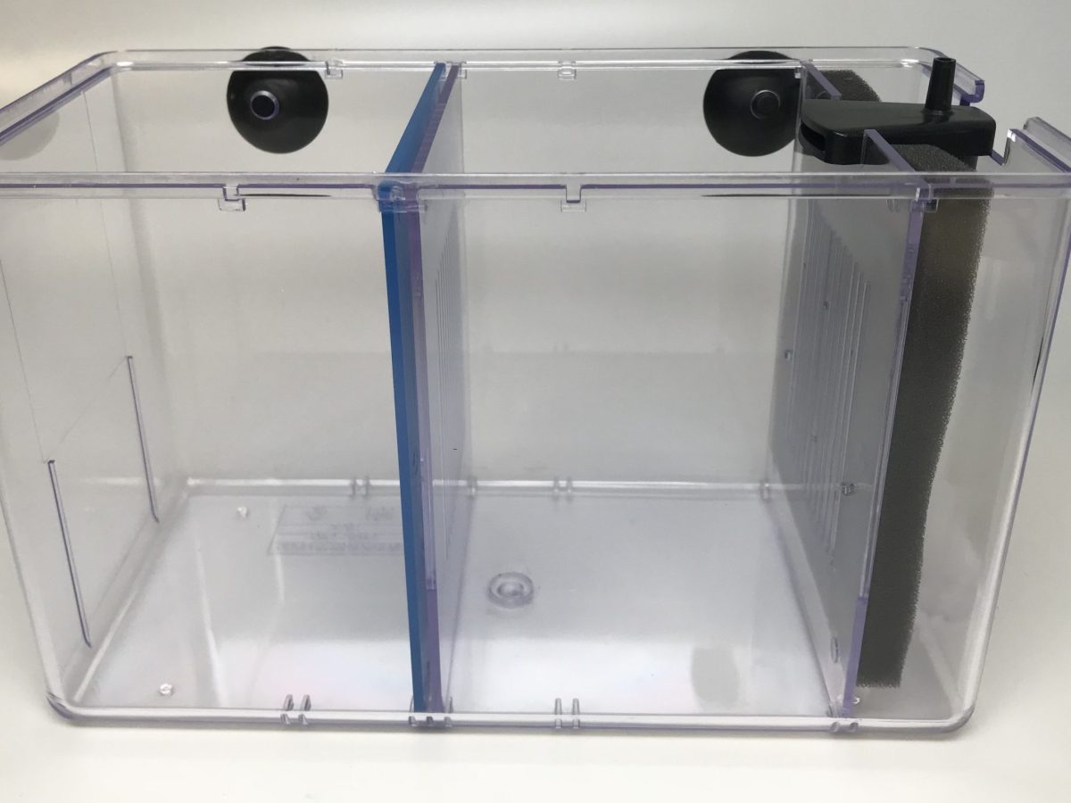 betta fish box External Betta Box