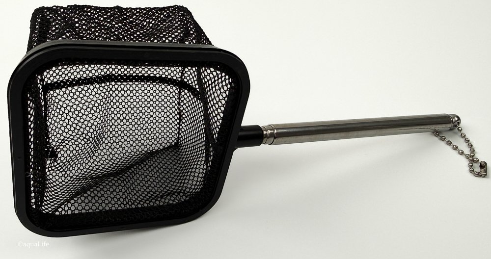 Shrimp Net Retractable 3D 3" Stainless