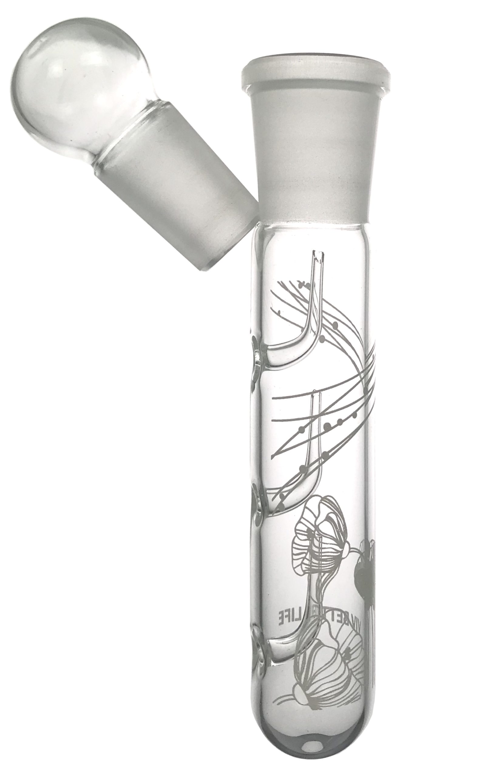 Planaria Trap Glass 140 mm
