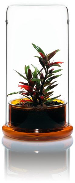 VIV Nano Terrarium 170 x 300mm with Orange base . 6.69 x 11.81" Glass